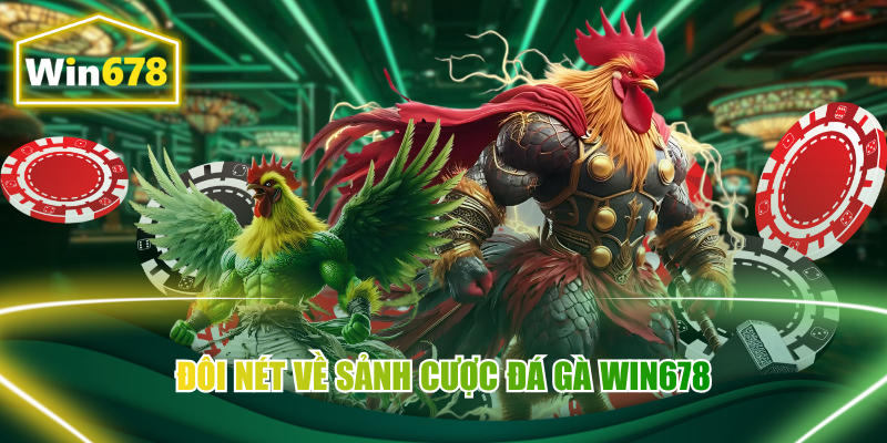 Đôi nét về sảnh cược đá gà Win678