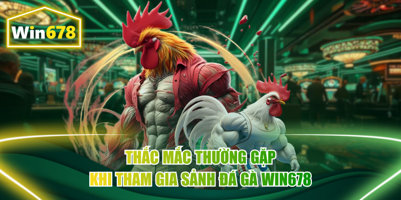 Thắc mắc thường gặp khi tham gia sảnh đá gà Win678